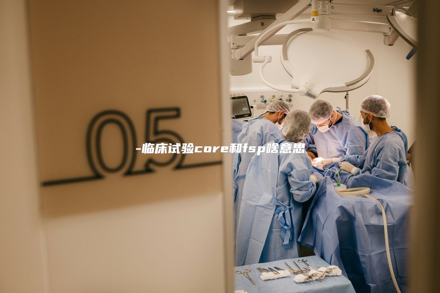 临床试验core和fsp啥意思